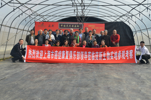上海市癌癥康復俱樂部各區(qū)會長 走進大漢靈芝